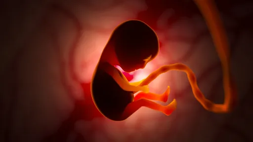 Dentro do útero, bebês fazem careta quando mães comem couve; veja imagens!