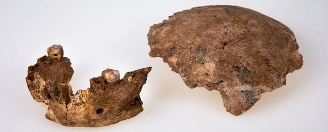 Arqueólogos encontram em Israel ancestral dos humanos nunca antes conhecido