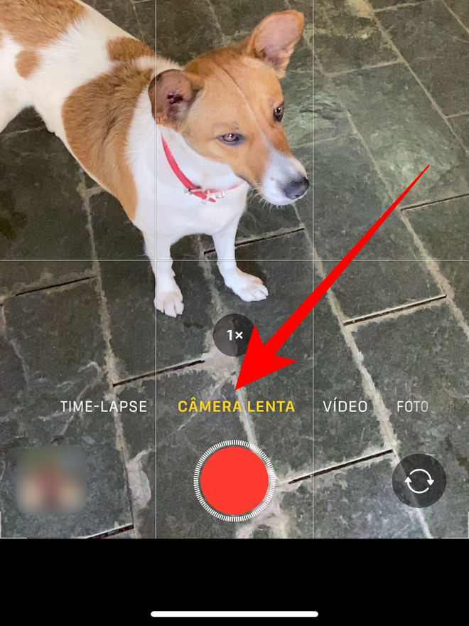 Vá no app da Câmera > Câmera Lenta. Captura de tela: Lucas Wetten (Canaltech)