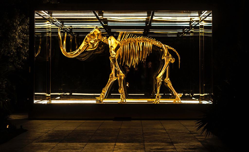 Mamute extinto há 4 mil anos pode voltar a viver no planeta Terra (Imagem: Reprodução/John Benitez/Unsplash)