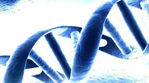 Pesquisadores de Harvard inserem 704 TB de dados em um único grama de DNA