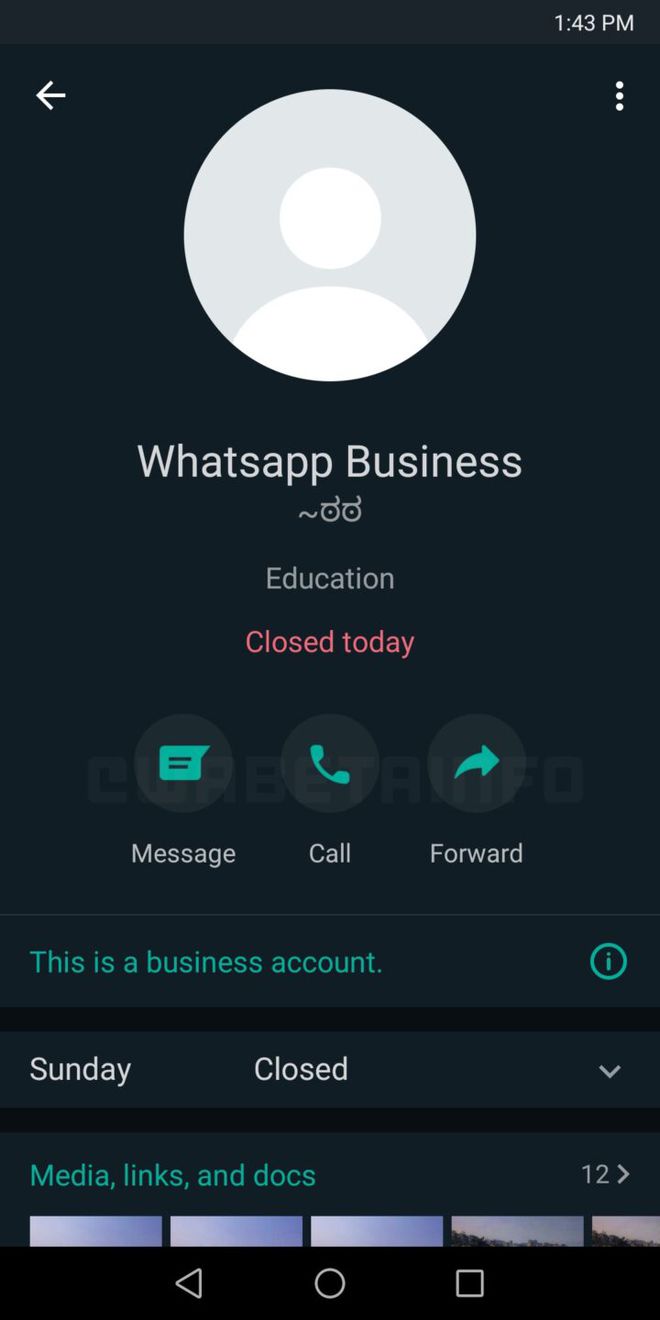 Nova tela para contas do WhatsApp Business (Imagem: Reprodução/WABetaInfo)