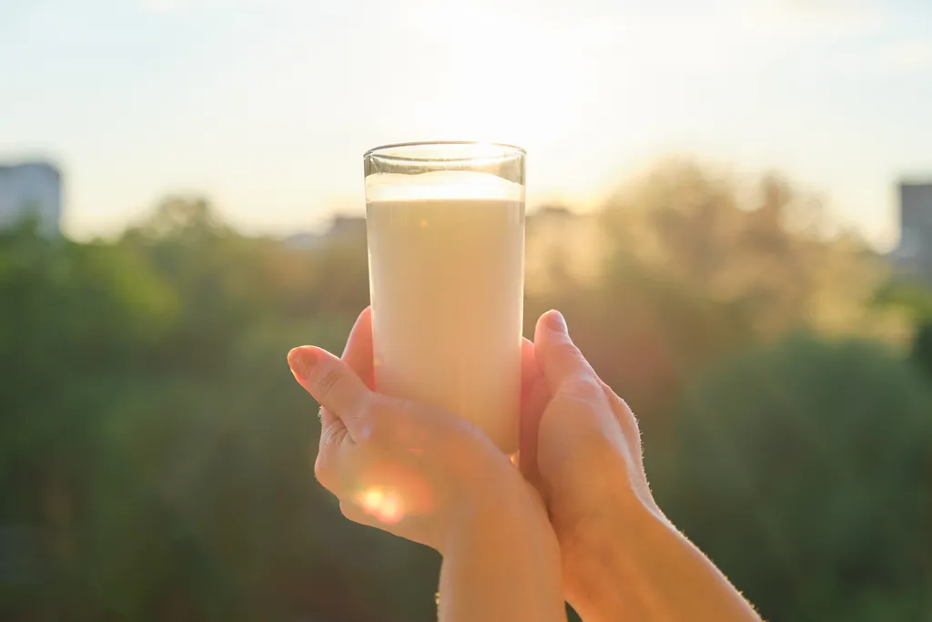 Ingestão de leite e de alguns derivados pode reduzir o risco de diabetes tipo 2 (Imagem: Valeriygoncharukphoto/Envato Elements)