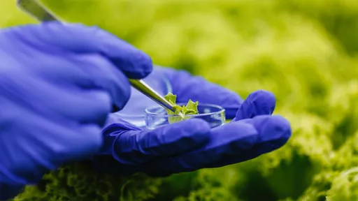 Vacina feita de plantas e comestível é a aposta de cientistas para o futuro