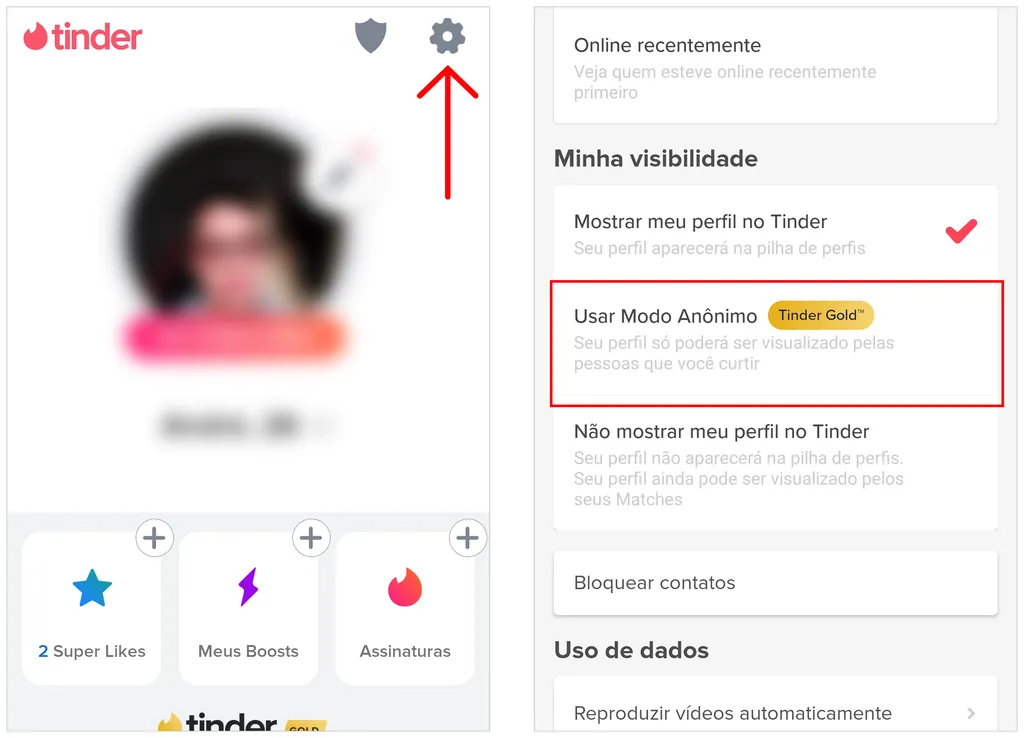Ative o modo anônimo do Tinder, disponível para assinantes dos planos pagos do app (Imagem: Captura de tela/André Magalhães/Canaltech)