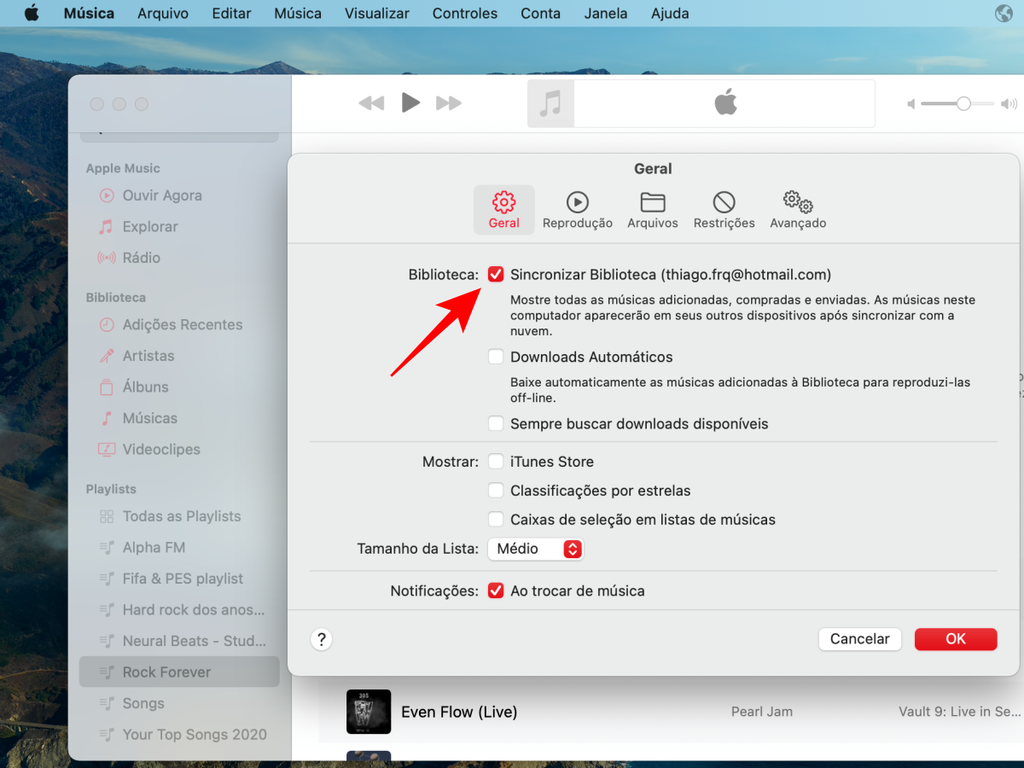 Ative a opção para sincronizar as músicas do app no Mac (Captura de tela: Thiago Furquim)