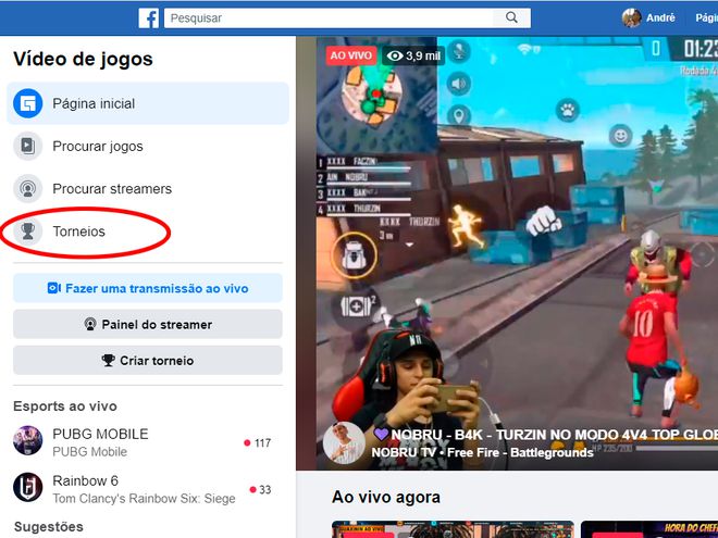 Nova funcionalidade está em acesso antecipado no Facebook Gaming (Foto: Reprodução/André Magalhães)