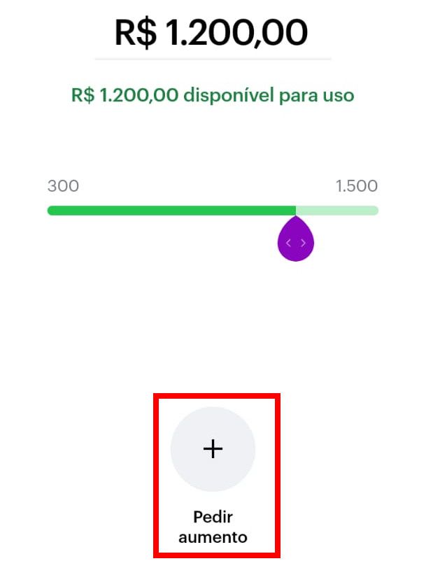 Caso necessário, clique em "Pedir aumento" no canto inferior (Captura de tela: Matheus Bigogno)