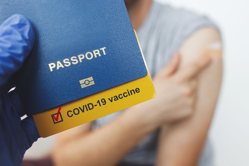 Passaporte da vacina vira regra para entrada em estabelecimentos comerciais, como bares e restaurantes (Imagem: Reprodução/Sonyachny/Envato Elements)