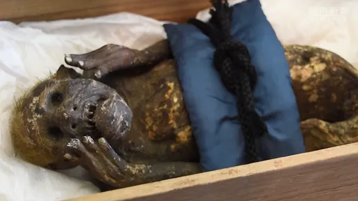 Mistério de "sereia" mumificada do século 18 chega perto do fim