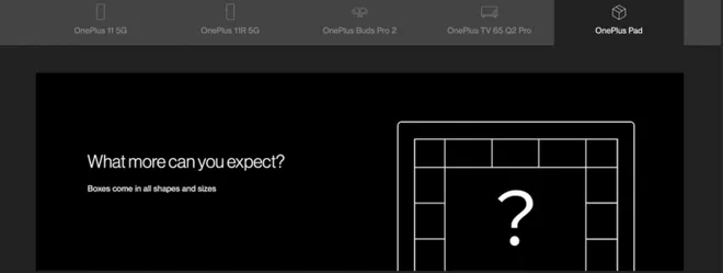 Seção no site mostrou nome "OnePlus Pad", que foi alterado depois (Imagem: Divulgação/OnePlus)