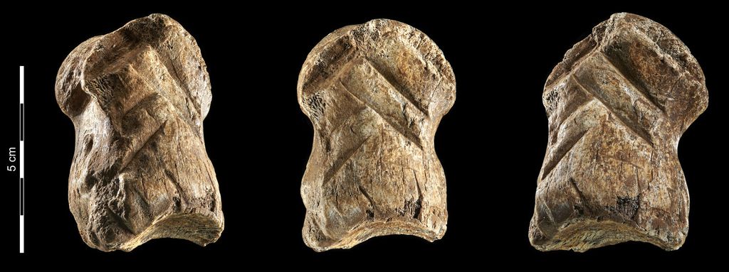 Arte Neandertal | Ossos esculpidos mostram talento artístico dos antepassados 
