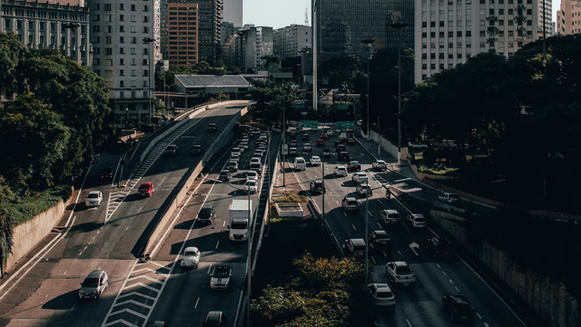Vinicius Löw/Unsplash