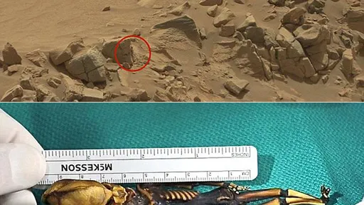 Mini alien? Imagem capturada pela NASA mostra criatura bizarra em Marte