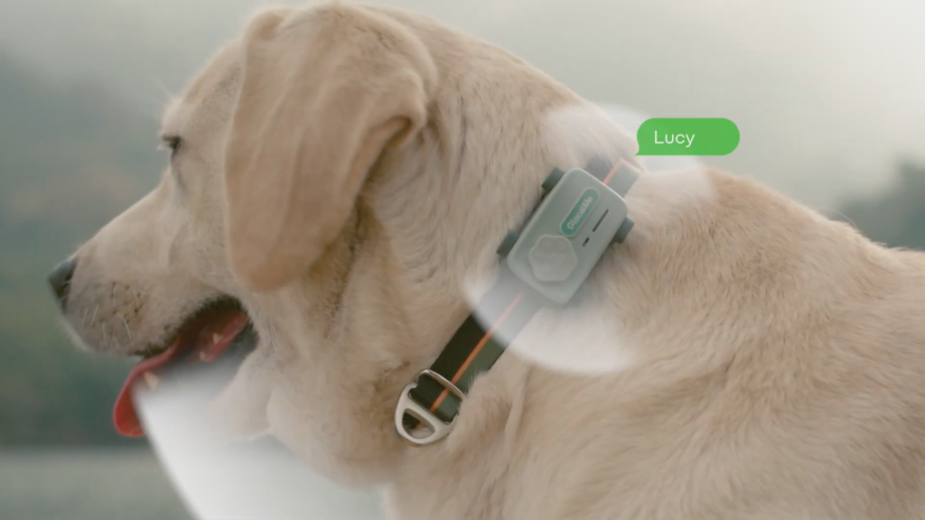 GlocalMe PetPhone celular para pets