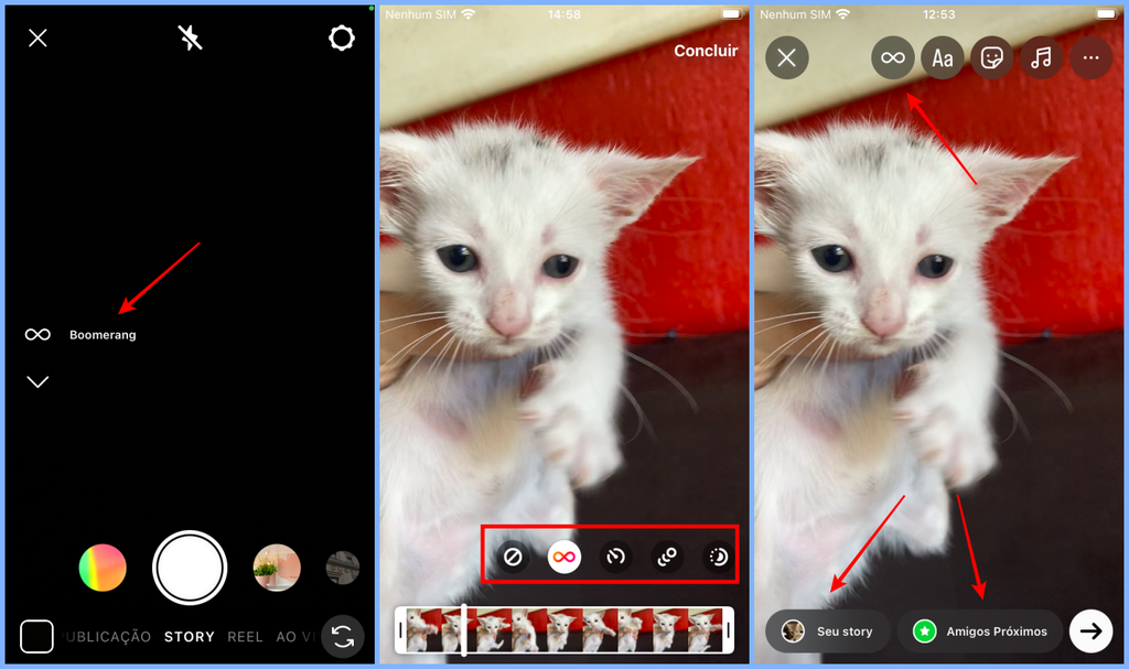 Quem tem iPhone pode transformar Live Photos em boomerang no Instagram (Imagem: Captura de tela/Fabrício Calixto/Canaltech)