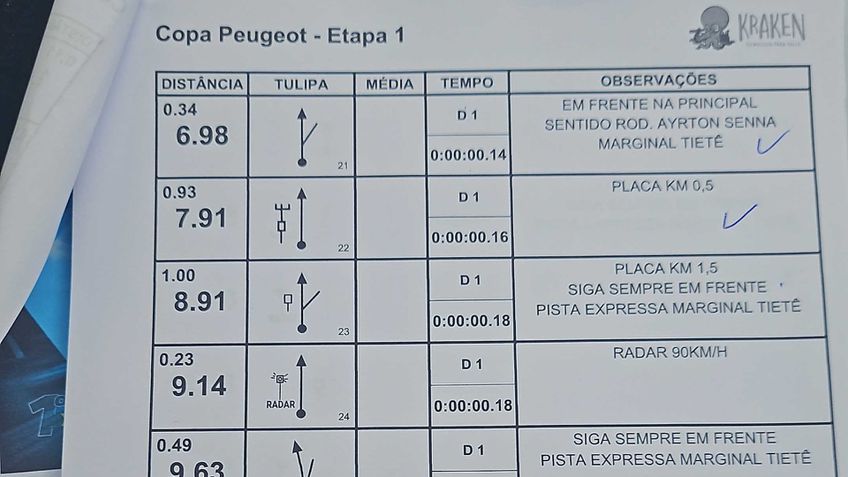 Peugeot 208 e Peugeot 2008 Hybrid - Rally urbano Peugeot 208 e Peugeot 2008 Hybrid - Rally urbano