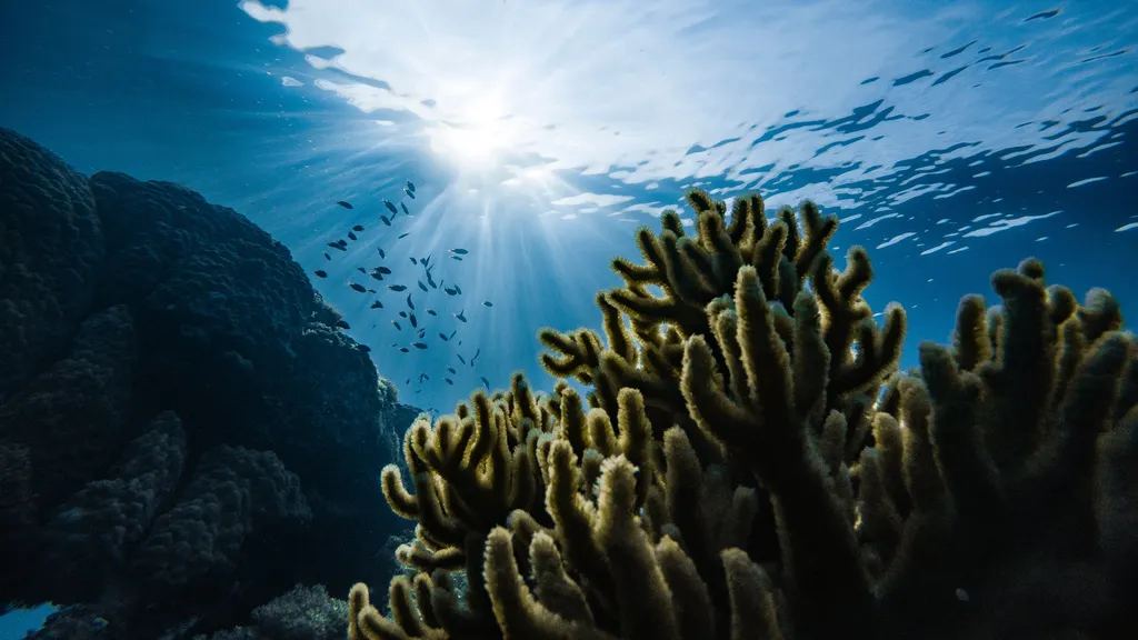 O oceano atua como um regulador do clima da Terra e a renoxificação é um processo que acontece na atmosfera acima dele ( Imagem: Marek Okon/Unsplash)
