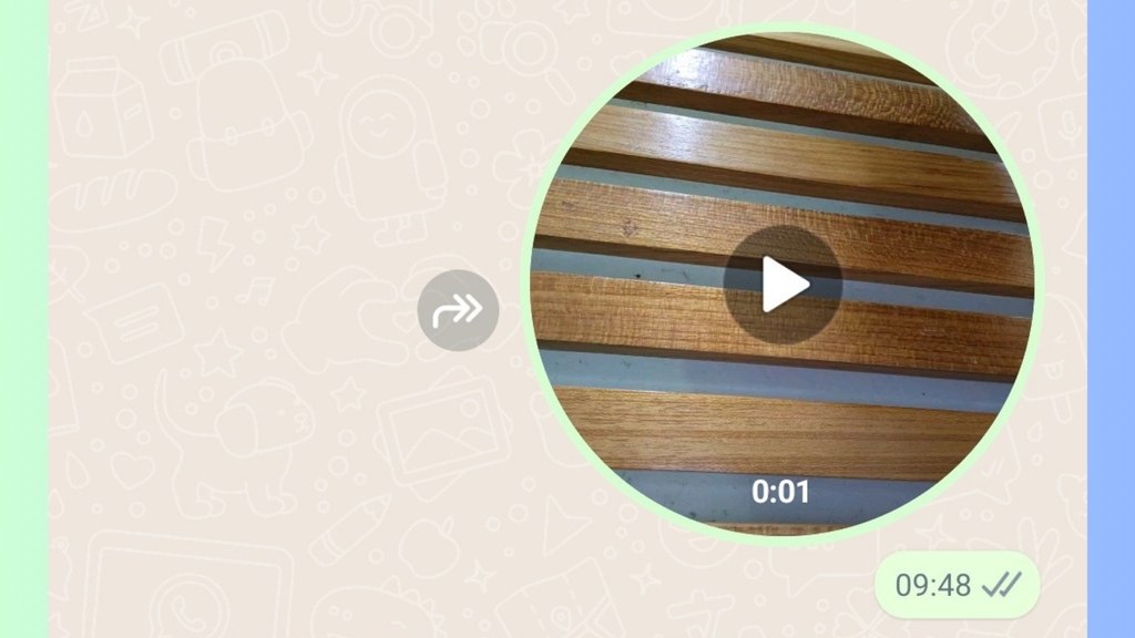 Recados de vídeo do WhatsApp ganham botão para compartilhar (Imagem: Captura de tela/Bruno De Blasi/Canaltech)