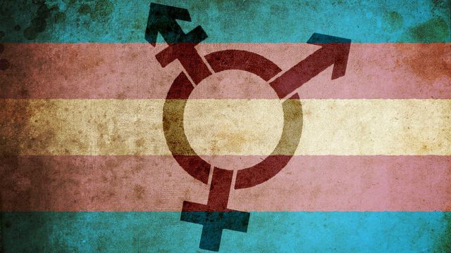 Twitter começa a suspender contas de quem deslegitima gênero de pessoas trans