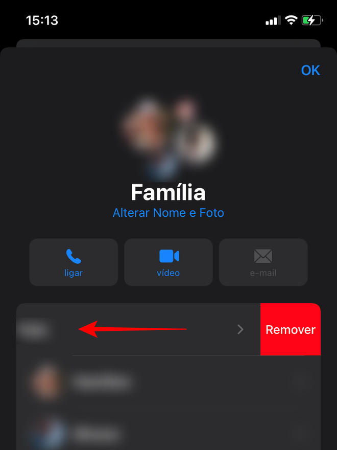 Arraste o contato para o lado e toque na opção "Remover" para tirá-la do grupo - Captura de tela: Thiago Furquim (Canaltech)