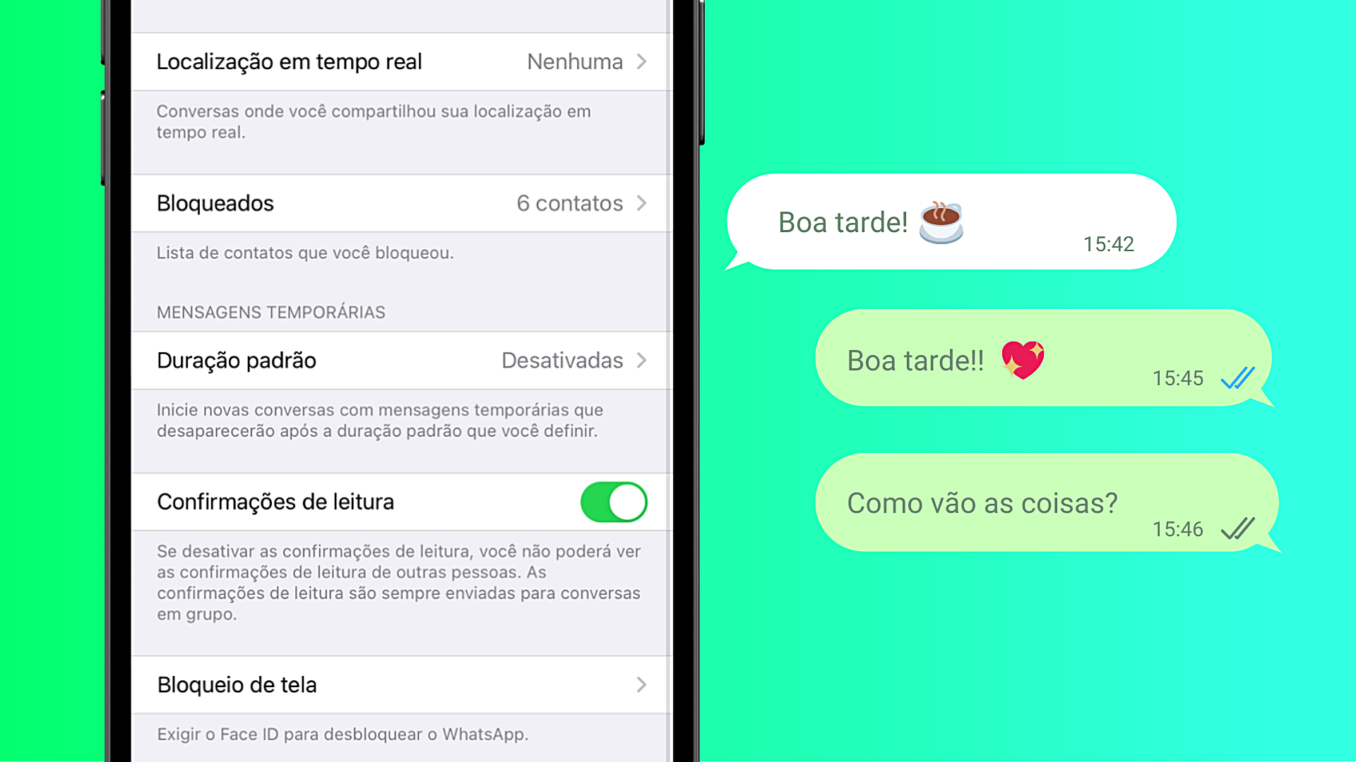 WhatsApp double check - A pessoa leu ou não minha mensagem?