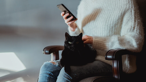 5 aplicativos para quem tem pet