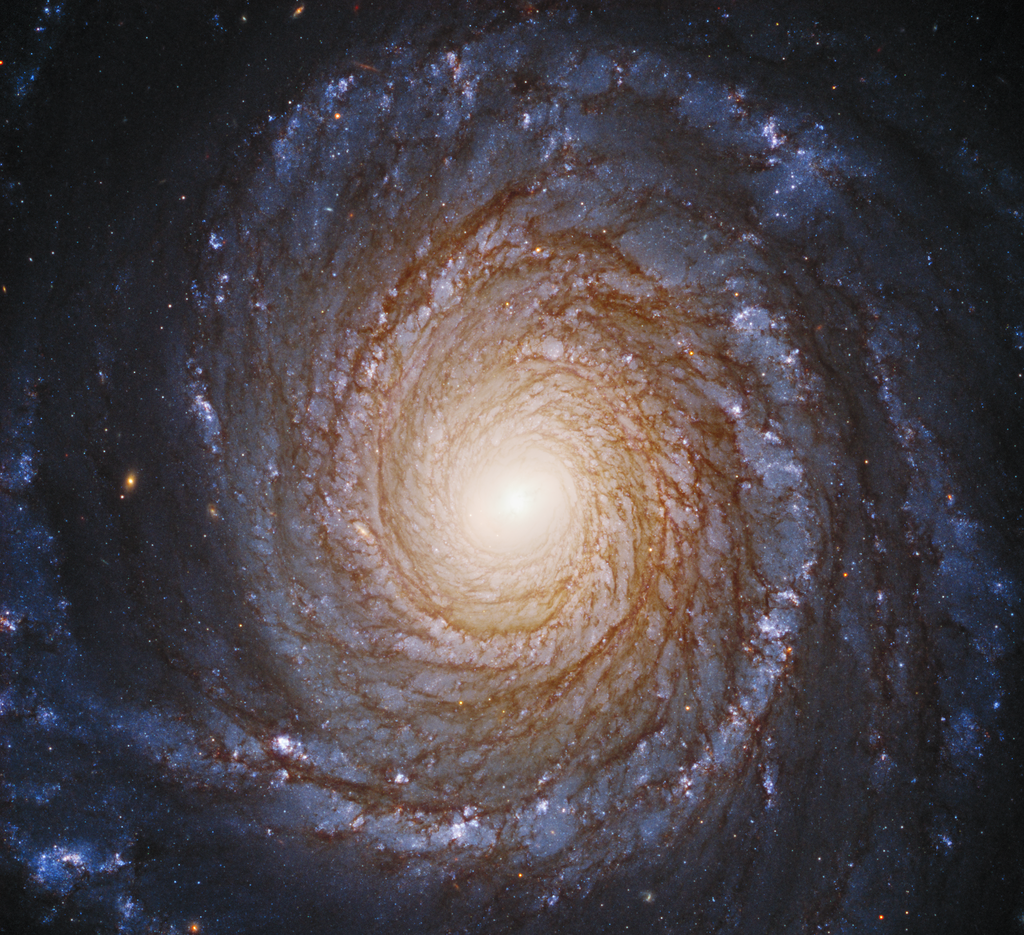 A galáxia espiral NGC 3147 (Foto: NASA/ESA/Hubble)