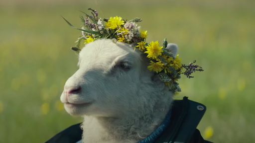 Lamb | Trailer do terror cria "crossover" entre os polêmicos Mãe! e Midsommar