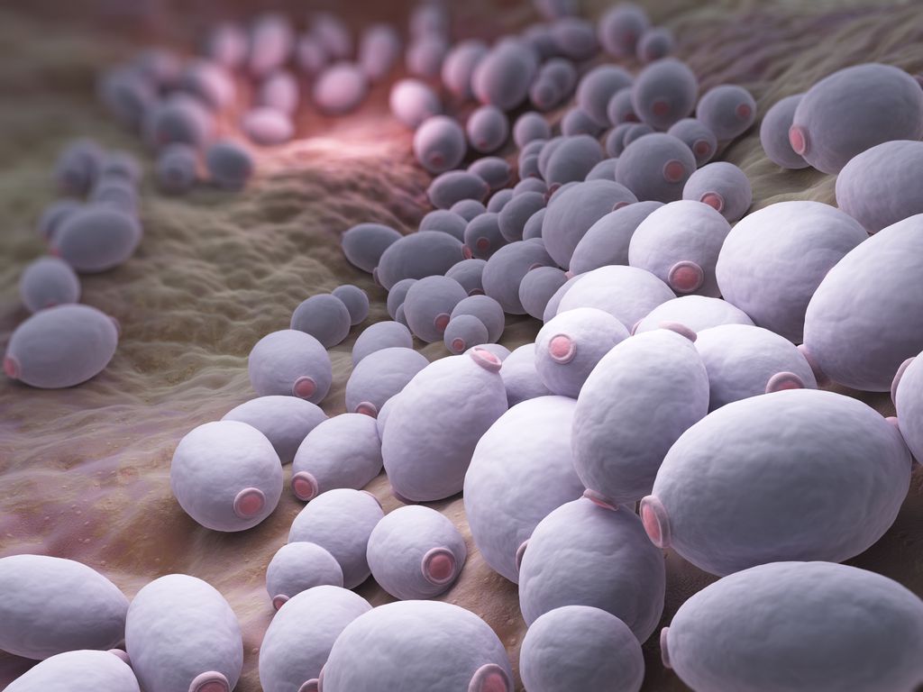Fungos, vírus e bactérias podem ser usados por bioterroristas (Imagem: Reprodução/iLexx/Envato Elements)