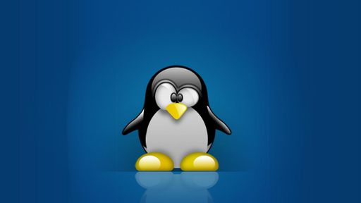 Chegada do Linux 5.12 deve atrasar, acredita Linus Torvalds