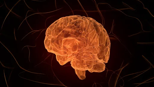6 exercícios para malhar seu cérebro e evitar doenças, segundo a neurociência
