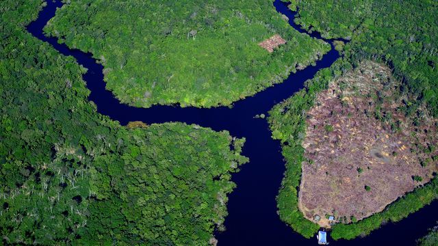 Capa da reportagem sobre a Floresta Amazônica