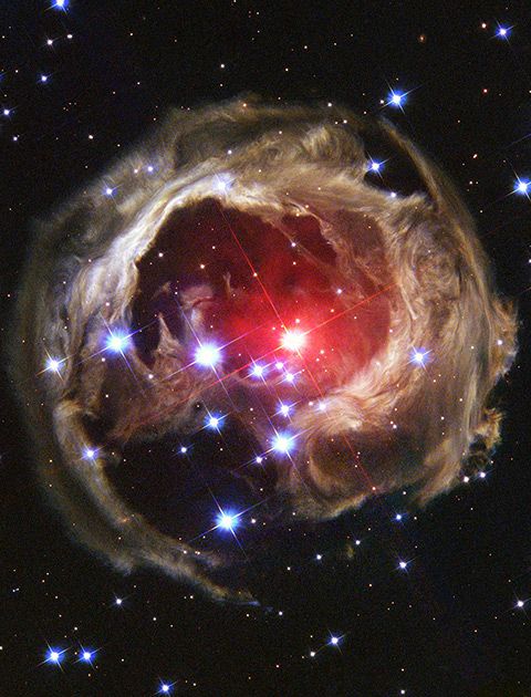 V838 Momocerotis