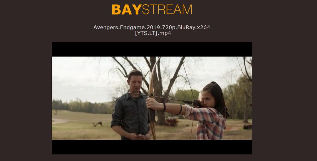 Pirate Bay testa serviço BayStream para assistir filmes e séries online –  Tecnoblog
