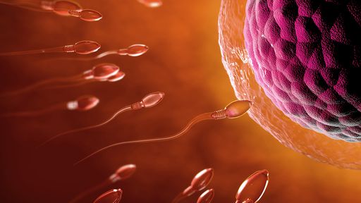 Novo anticoncepcional tem 100 microagulhas que penetram na pele (e não dói)