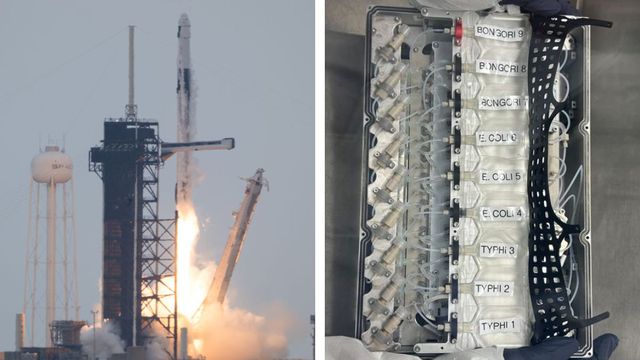 NASA/Sheba/Montagem Canaltech
