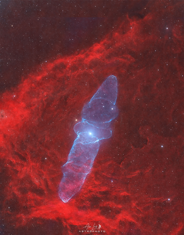 Nebulosa da Lula Gigante