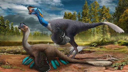 Fóssil de dinossauro é encontrado na China chocando ovos com embriões formados