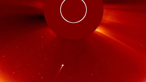 Cometa mergulha no Sol para ser reduzido a átomos — e a SOHO filmou tudo