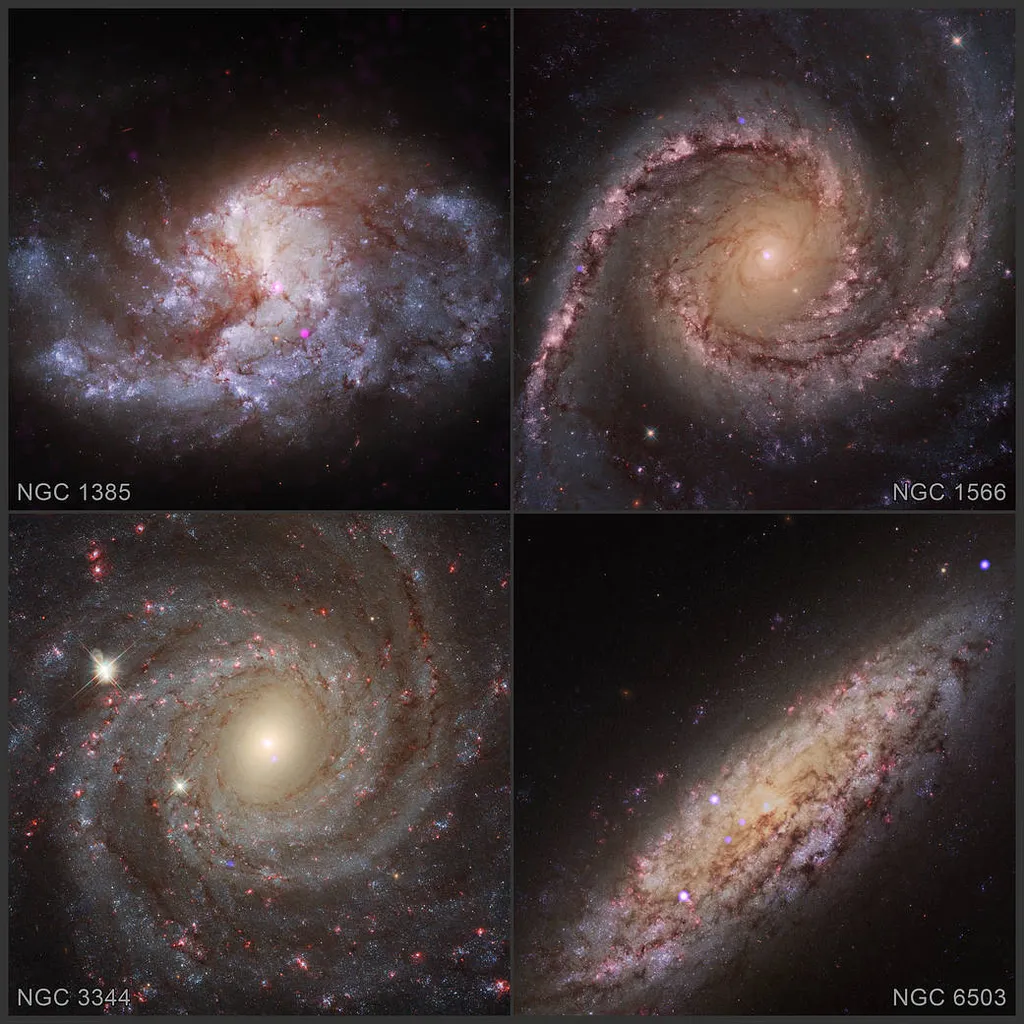 Exemplos de galáxias espirais com buracos negros; as galáxias anãs são geralmente descartadas das pesquisas por causa da ambiguidade dos resultados (Imagem: Reprodução/NASA/CXC/Washington S. Univ./V. Baldassare et al./ESA/STScl)