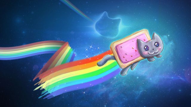 Morre Marty, o gato que inspirou a criação do meme Nyan Cat