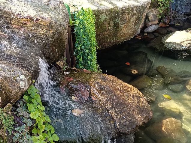 Fotos tiradas com o Oppo A5 Pro