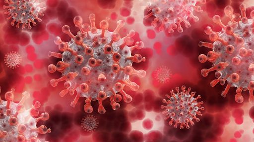O que é “fadiga da pandemia” e por que ela está preocupando os europeus