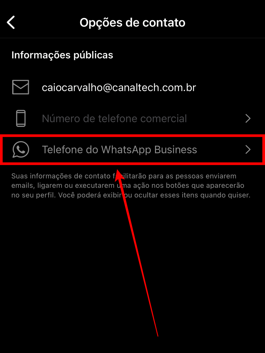 Há uma opção dedicada ao seu número do WhatsApp Business (Captura de tela: Caio Carvalho/Canaltech)