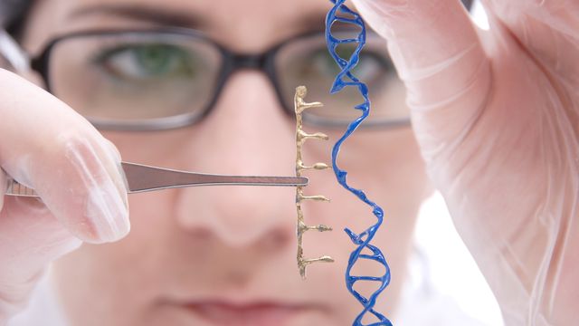 Cientistas mostram que a edição de genes pode levar a curas revolucionárias