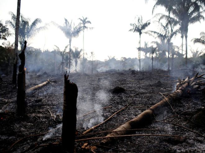 Califórnia registra o 1º "gigafire" da era moderna; Brasil também tem queimadas