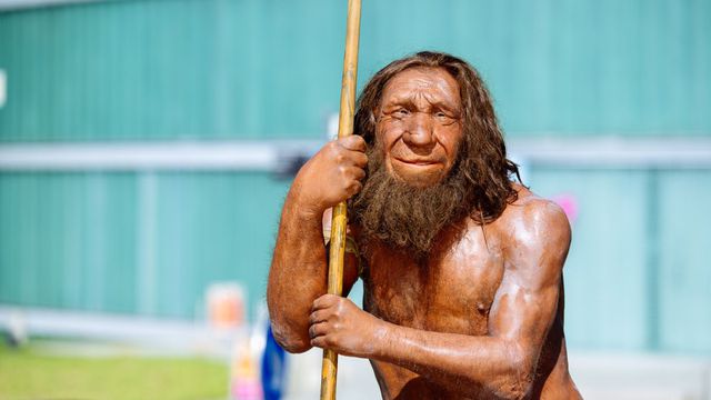 Divulgação/Neanderthal Museum
