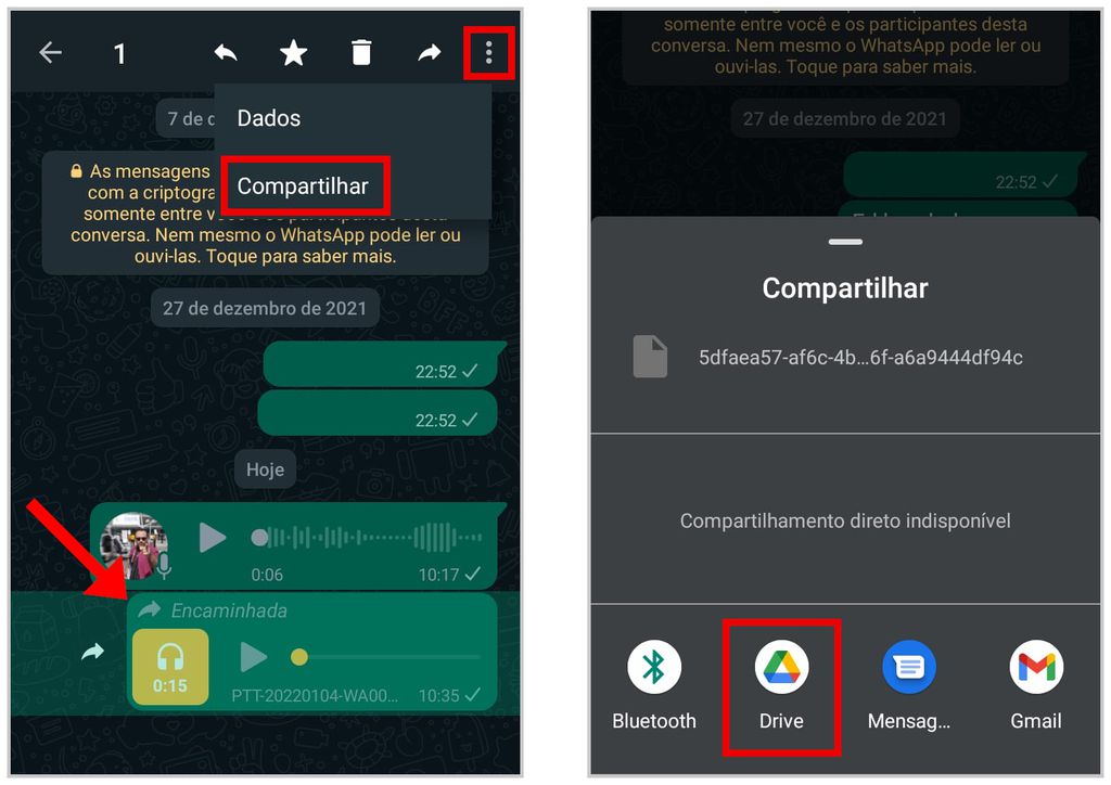 Agora você pode fazer backup de áudio do WhatsApp no Android (Captura de tela: Matheus Bigogno)