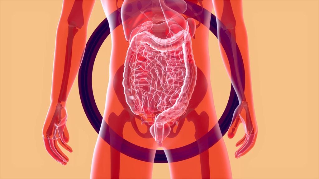 Consumo diário de prebióticos melhora a saúde do cérebro e do intestino (Imagem: Julost/Envato)